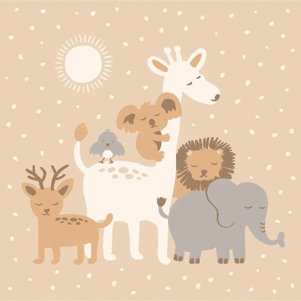 Fox & Fallow Welcome Party Blanket