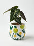 Jones & Co Flower Pop Planter