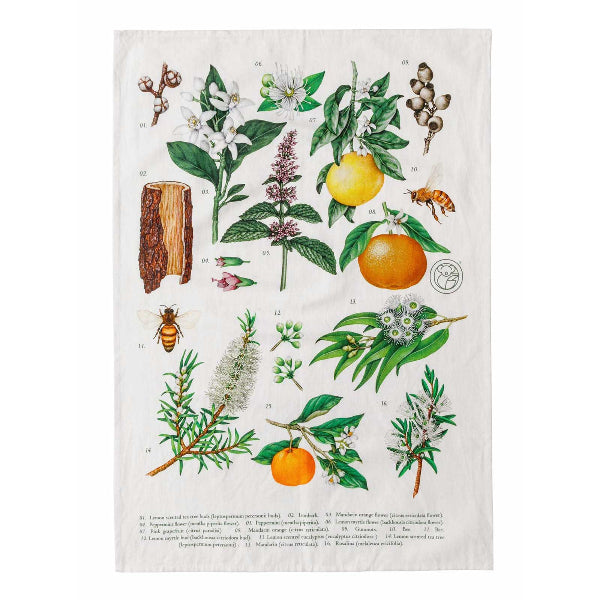 Koala Eco Tea Towel Botanical