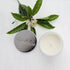Olieve & Olie Soy Wax Candle Bergamot, Jasmine & Patchouli