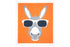 Retro Kitchen Dish Cloth Donkey