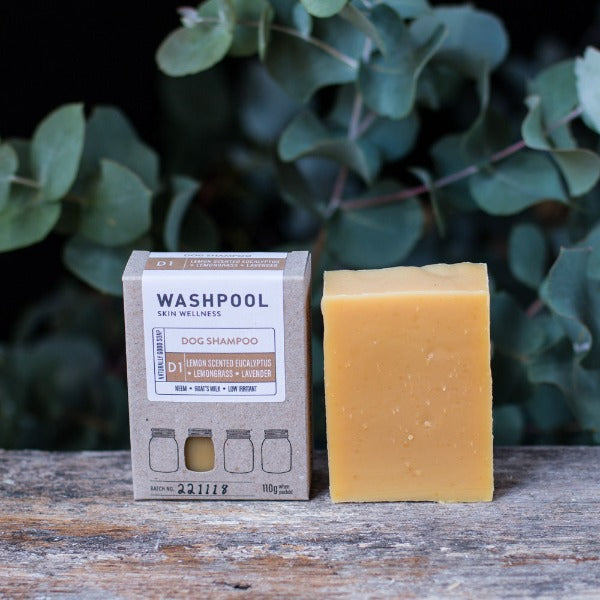 Washpool Dog Shampoo Bar with Lemon Scented Eucalyptus, Lemongrass &amp; Lavender