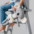 and the little dog laughed Fergus Koala