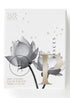 Pisces Star Sign Scent Perfume