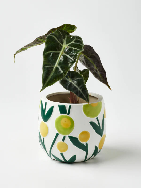Jones & Co Flower Pop Planter