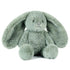 O.B Designs Plush Toys | Beau Bunny Huggie