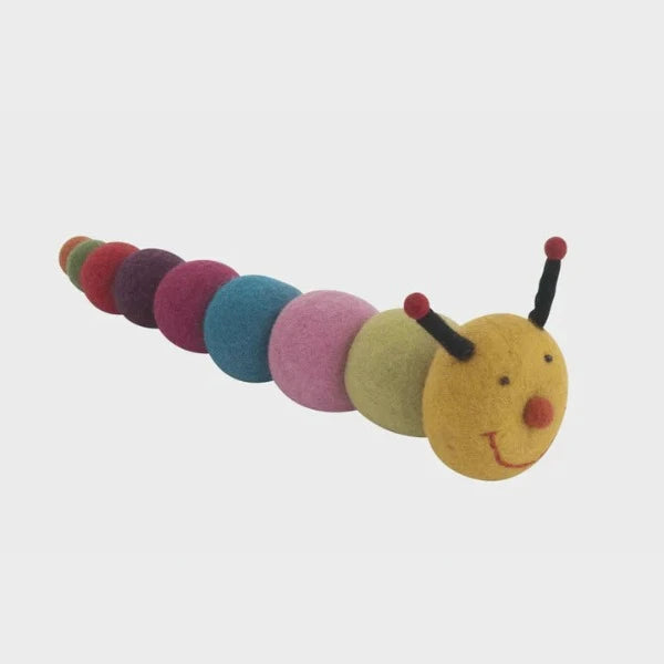 Pashom Caterpillar Toy