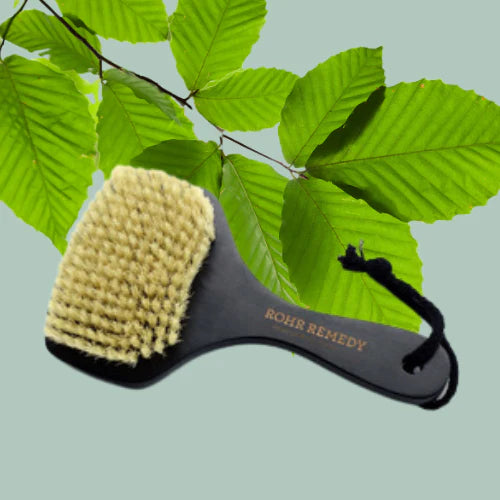 Rohr Remedy Beechwood Body Brush