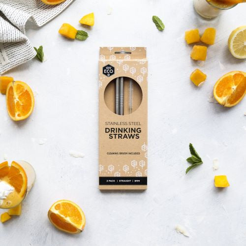 Ever Eco Stainless Steel Drinking Straws 2 Pack (Straight)