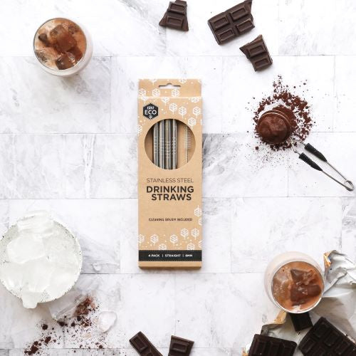 Ever Eco Stainless Steel Drinking Straws 4 Pack (Straight)