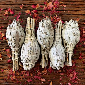 Certified Organic White Sage Smudge Sticks (USA)